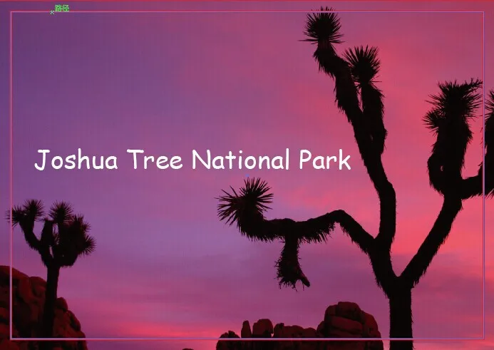

Joshua Tree National Park California Travel Refrigerator Magnets 20549 Rectangle Metal Magnets 78*54*3mm