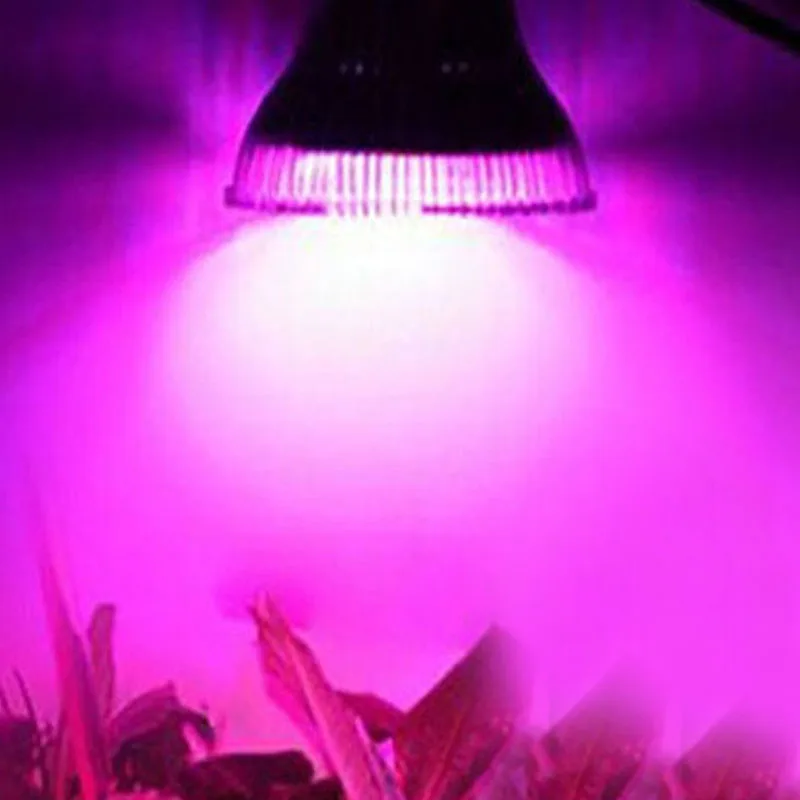 Full spectrum GU10 LED Grow lights 10W LED Grow lamp bulb for Flower plant Hydroponics system AC 85V 110V 265V grow box
Full spectrum GU10 LED Grow lights 10W LED Grow lamp bulb for Flower plant Hydroponics system AC 85V 110V 265V grow box