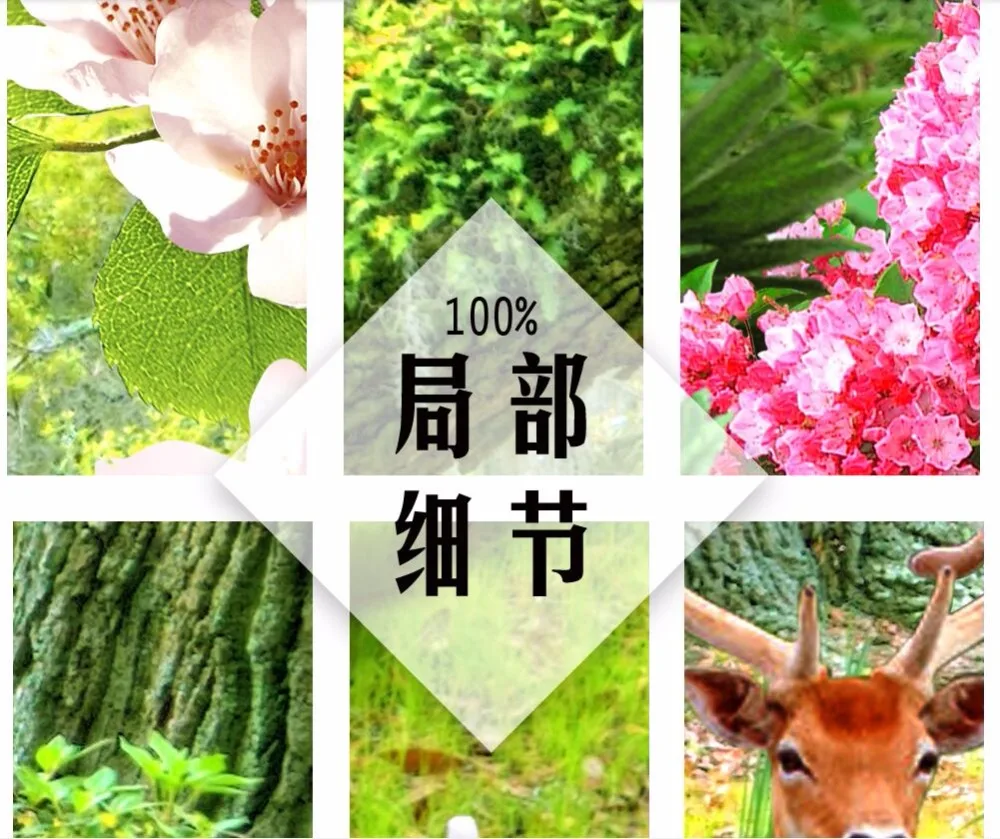 Custom photo 3d room wallpaper Trees grassland landscape TV background wall Home decor 3d wall murals wallpaper for wall 3 d
Custom photo 3d room wallpaper Trees grassland landscape TV background wall Home decor 3d wall murals wallpaper for wall 3 d