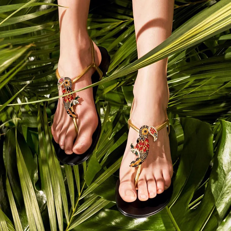 EXCARGO Luxury Color Rhinestone Sandals Female 2019 Summer New Woman Flat Flip Flop Summer Shoes Holiday Boheniam Beach Sandals
EXCARGO Luxury Color Rhinestone Sandals Female 2019 Summer New Woman Flat Flip Flop Summer Shoes Holiday Boheniam Beach Sandals