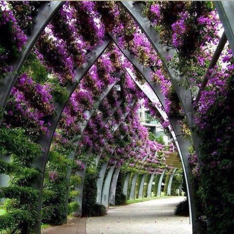 Diy Diamond painting Flower 3d square Diamond Mosaic Picture of rhinestones pasted full Diamond embroidery craft Purple corridor
Diy Diamond painting Flower 3d square Diamond Mosaic Picture of rhinestones pasted full Diamond embroidery craft Purple corridor