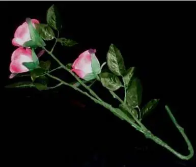Free Shipping Super Light Rose Queen (Charging Version) - Stage Magic Tricks,Wedding Magic Show,Classic Magic,Gimmicks,Illusions
Free Shipping Super Light Rose Queen (Charging Version) - Stage Magic Tricks,Wedding Magic Show,Classic Magic,Gimmicks,Illusions