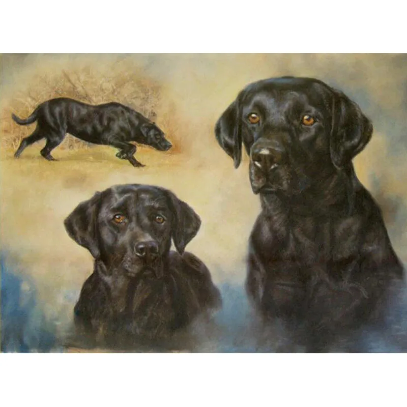 Needlework Labrador Dog Pet DIY Diamond Painting Full Square/Round Drill Handmade Diamond Embroidery Living Diamond Puzzle Kits
Needlework Labrador Dog Pet DIY Diamond Painting Full Square/Round Drill Handmade Diamond Embroidery Living Diamond Puzzle Kits