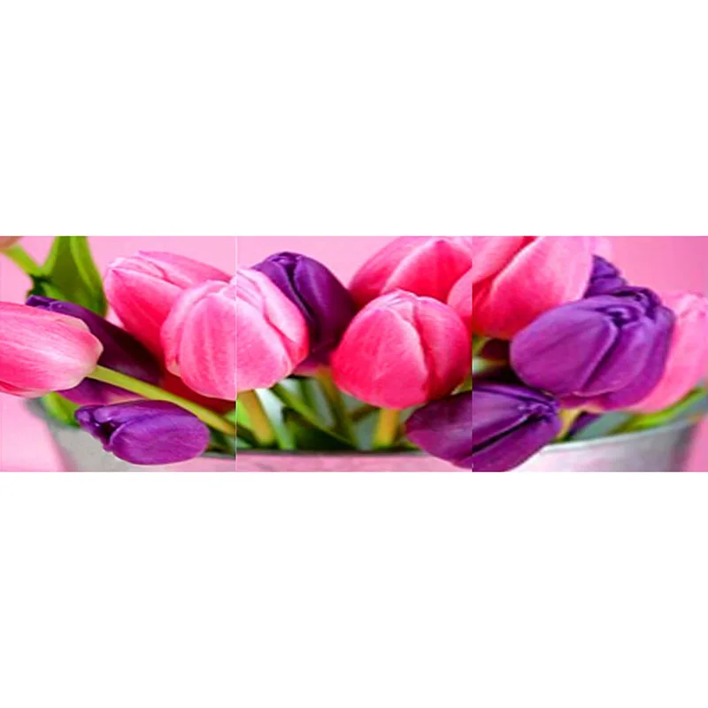 3D diy 3pc/set Red tulips diamond painting triptych High-end home decoration full square rhinestone Vertical flowers Needlework
3D diy 3pc/set Red tulips diamond painting triptych High-end home decoration full square rhinestone Vertical flowers Needlework