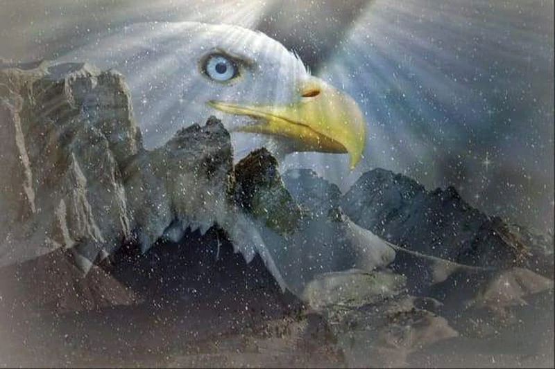 Embroidery Craft Painting Paint Diamonds Full Drill Diamond Painting Cross Stitch Eagle Mountains Diamond Art Wall Arts Decor
Embroidery Craft Painting Paint Diamonds Full Drill Diamond Painting Cross Stitch Eagle Mountains Diamond Art Wall Arts Decor