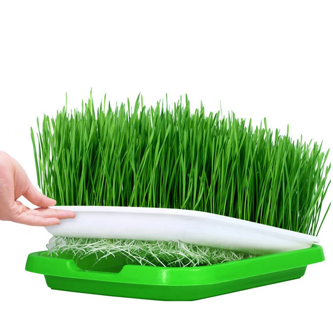 5-set Double-layer Seed Sprouter Tray Hydroponics Basket Seeding Germination Tray - Green + White
5-set Double-layer Seed Sprouter Tray Hydroponics Basket Seeding Germination Tray - Green + White