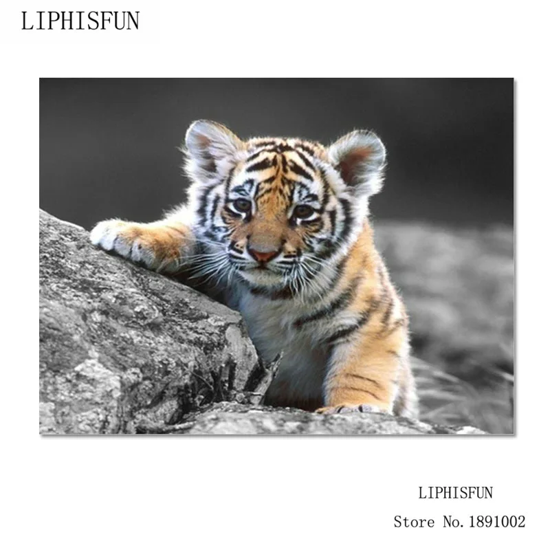 Small Tiger Diamond Embroidery Needlework Square Diy Diamond Painting Fashion Home Decor Cross Stitch Painting
Small Tiger Diamond Embroidery Needlework Square Diy Diamond Painting Fashion Home Decor Cross Stitch Painting
