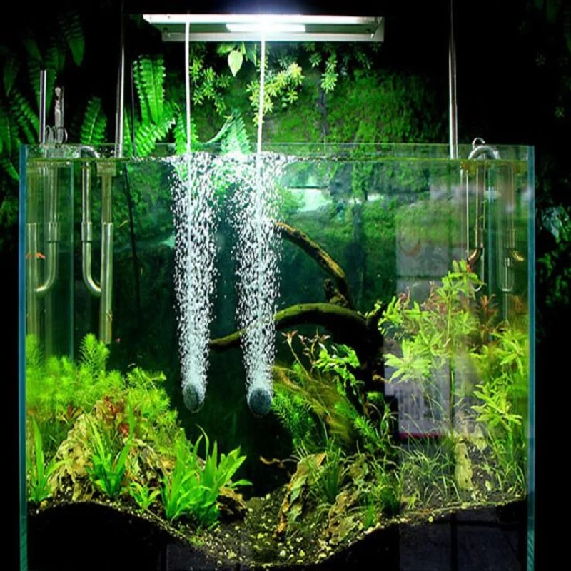 2.5/5/8/10W Ultra-quiet air pump aquarium accessories High-power fish tank increase oxygen pump 220-240V
2.5/5/8/10W Ultra-quiet air pump aquarium accessories High-power fish tank increase oxygen pump 220-240V
