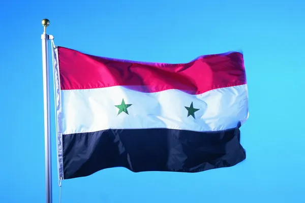 Syria Flag Banner 90*150cm National flag for Festival Home Decoration banner two star type
Syria Flag Banner 90*150cm National flag for Festival Home Decoration banner two star type