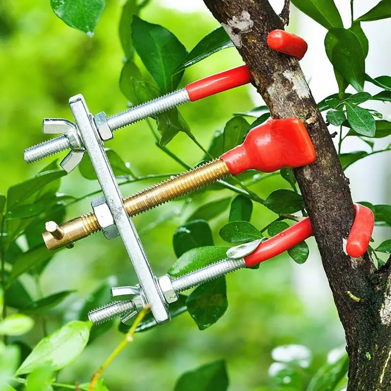 Bonsai Branch Bender Exceptional Wonderful Gyrate Installation Made By Tian Bonsai Tools
Bonsai Branch Bender Exceptional Wonderful Gyrate Installation Made By Tian Bonsai Tools