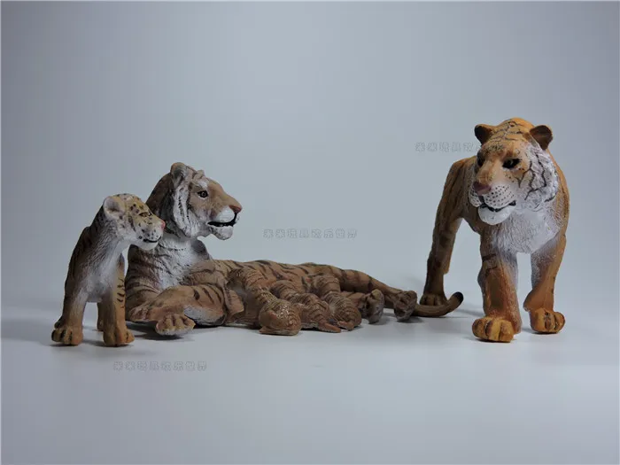 family set Simulation model toy scene Decoration bengal tiger family ornaments wild animal solid pvc figure
family set Simulation model toy scene Decoration bengal tiger family ornaments wild animal solid pvc figure