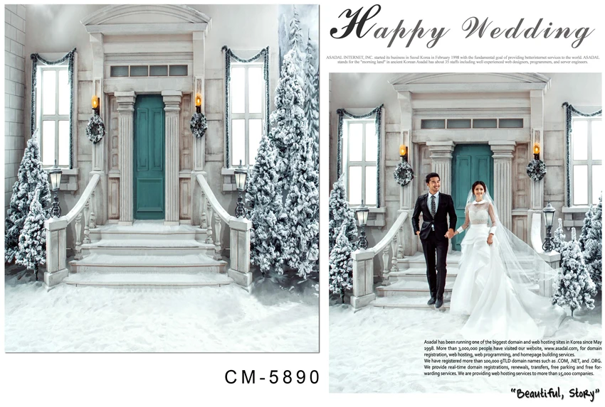 10x10FT Winter Court Villa Porch Steps Garland Door Snow Yard Ice Trees Custom Photography Studio Backdrop Background Vinyl 3x3m
10x10FT Winter Court Villa Porch Steps Garland Door Snow Yard Ice Trees Custom Photography Studio Backdrop Background Vinyl 3x3m
