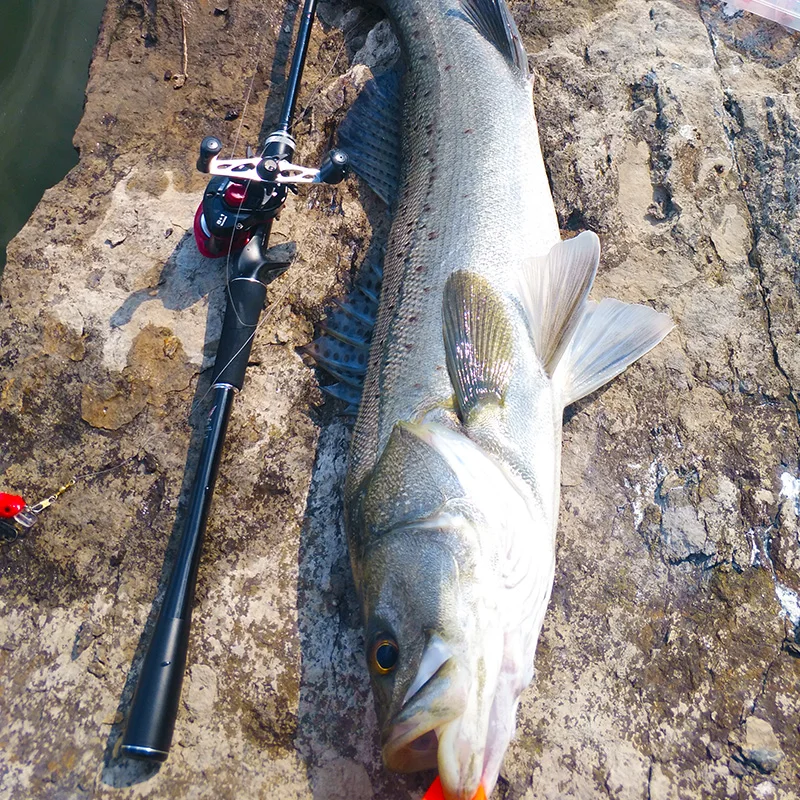Super Hard Sea Lure Rod Ultra-light 2.1M 2.4M Spinning Rod M MH Power Casting Rod High Carbon Double Tips Bait casting Pole Olta
Super Hard Sea Lure Rod Ultra-light 2.1M 2.4M Spinning Rod M MH Power Casting Rod High Carbon Double Tips Bait casting Pole Olta