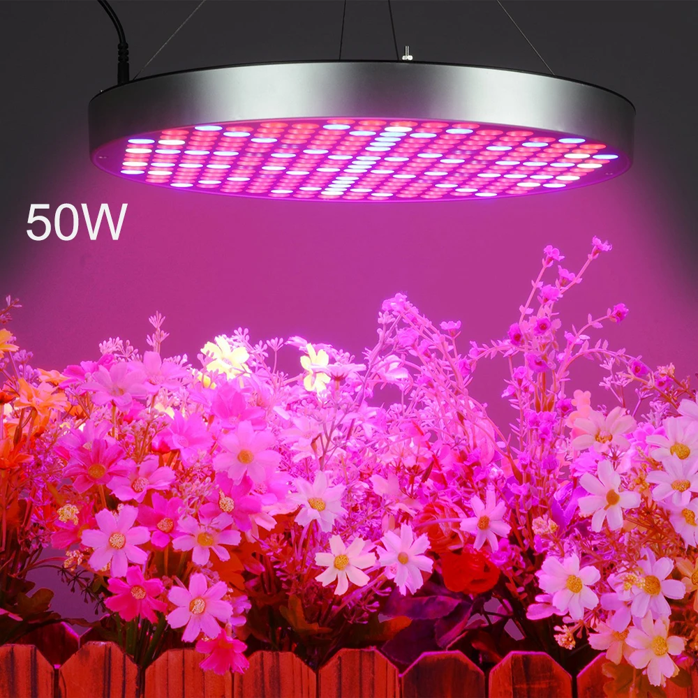 Phyto Lamp50w Full spectrum UFO LED Grow light 250pcs LEDs red blue AC110V 220V 240V 50/60hz pendent growing lamp LED grow light
Phyto Lamp50w Full spectrum UFO LED Grow light 250pcs LEDs red blue AC110V 220V 240V 50/60hz pendent growing lamp LED grow light