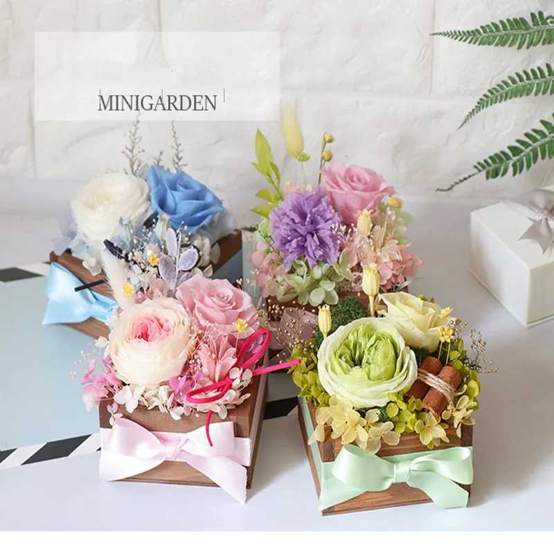 Festive & Party Supplies
Festive & Party Supplies