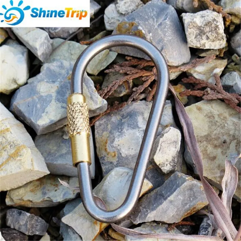 Outdoor EDC Tool (10 pcs/lot) D Shape Titanium Alloy Brass Buckle Backpack Hanging Hook Carabiners
Outdoor EDC Tool (10 pcs/lot) D Shape Titanium Alloy Brass Buckle Backpack Hanging Hook Carabiners
