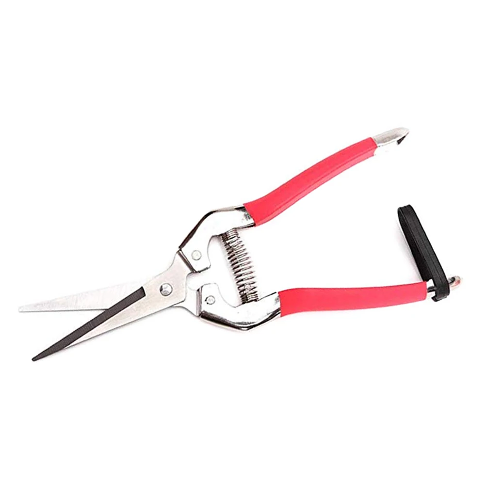 garden tool Straight Pruning Shears Scissors Trimmer Cutter Garden Bypass Pruners and Ergonomic Flower Cutter Grafting Tool
garden tool Straight Pruning Shears Scissors Trimmer Cutter Garden Bypass Pruners and Ergonomic Flower Cutter Grafting Tool