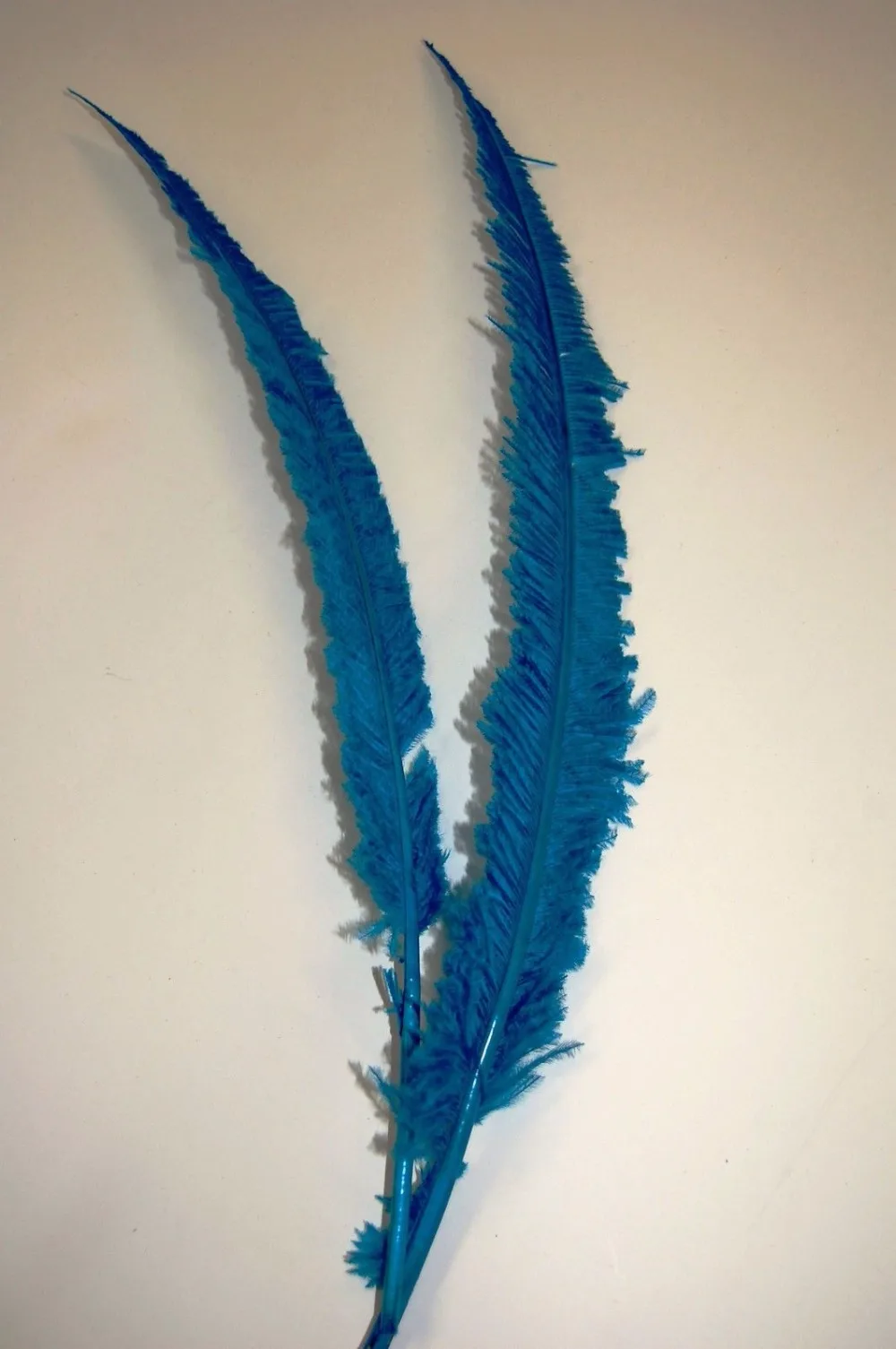 50PCS purple color Dyed ostrich Nandu Feathers 45cm to 70cm long handmade DIY ostrich plumes for crafts jewelry decorations
50PCS purple color Dyed ostrich Nandu Feathers 45cm to 70cm long handmade DIY ostrich plumes for crafts jewelry decorations