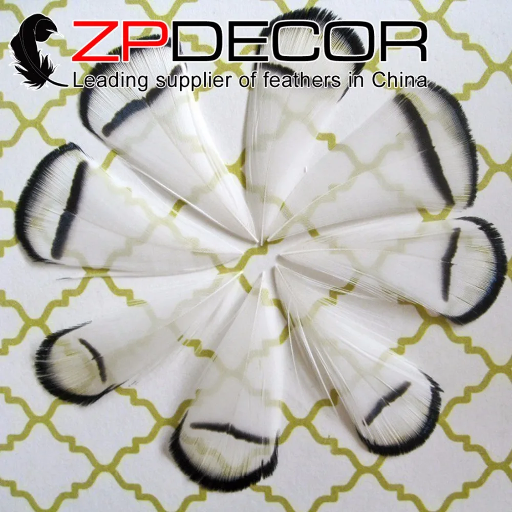 ZPDECOR 200 шт./лот 2-4 дюйма (5-10 см) Красивая Белая Леди Amherst фазан Палантин перо DIY ремесло украшения
ZPDECOR 200 шт./лот 2-4 дюйма (5-10 см) Красивая Белая Леди Amherst фазан Палантин перо DIY ремесло украшения