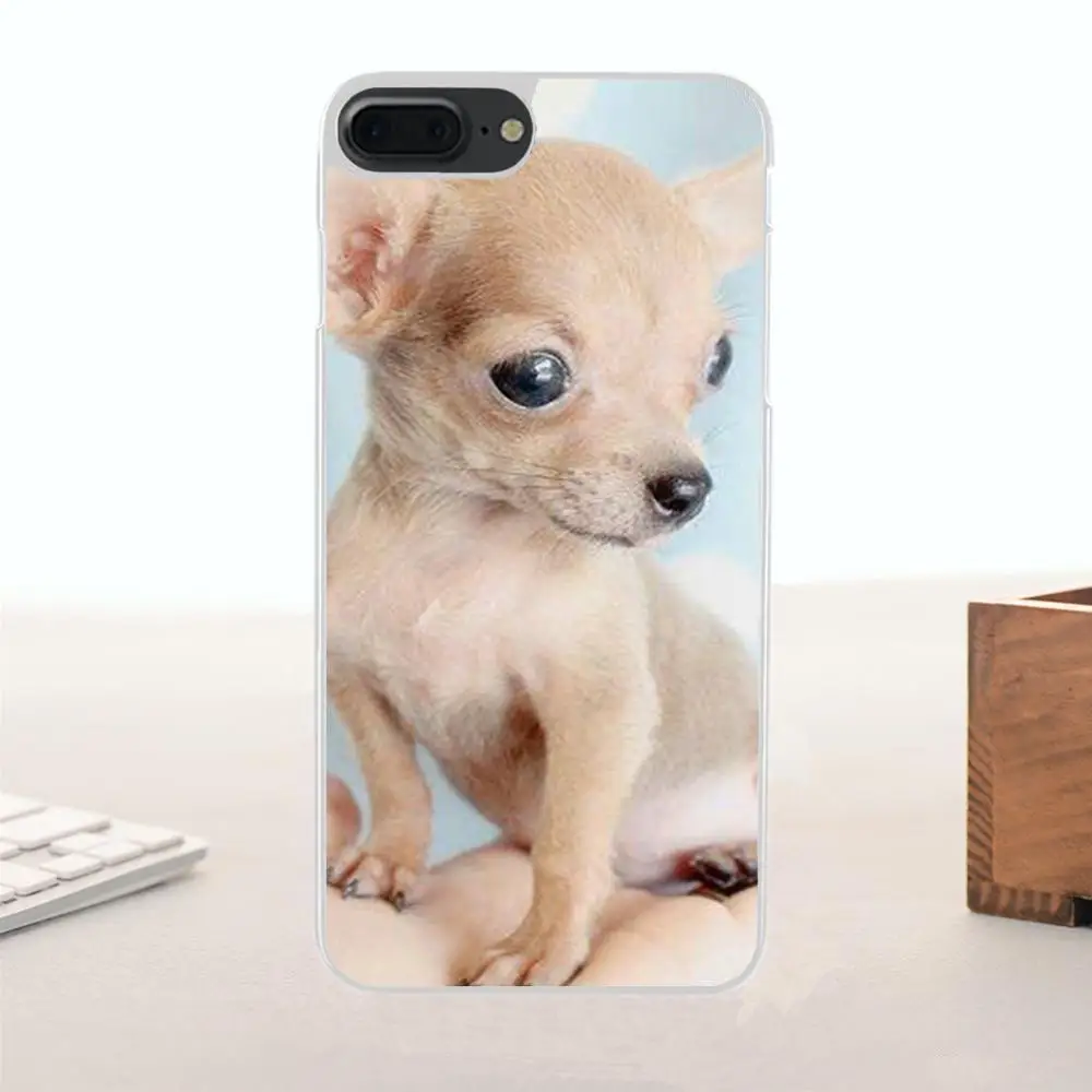 Чихуахуа собака щенок для Huawei G7 G8 Honor 5A 5C 5X 6 6X 7 8 V8 Mate 9 P7 P8 P9 P10 Lite Plus классические