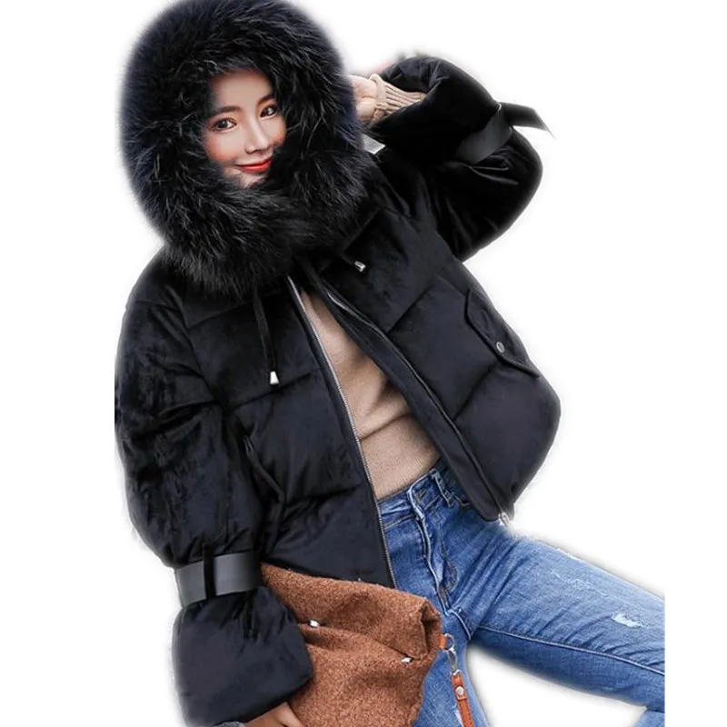 Plus Size 3XL Sweet New Women Parkas 2019 Short Women Down Cotton Jacket Short Hooded Big Fur Collar Padded Parkas Feminino Q399
Plus Size 3XL Sweet New Women Parkas 2019 Short Women Down Cotton Jacket Short Hooded Big Fur Collar Padded Parkas Feminino Q399