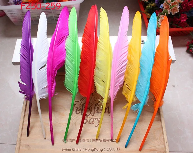 Wholesale 1000pcs 30-35cm goose feathers for fishing 12-14inches turkey feathers Turkey Quill Feathers Wedding Party Decoration
Wholesale 1000pcs 30-35cm goose feathers for fishing 12-14inches turkey feathers Turkey Quill Feathers Wedding Party Decoration