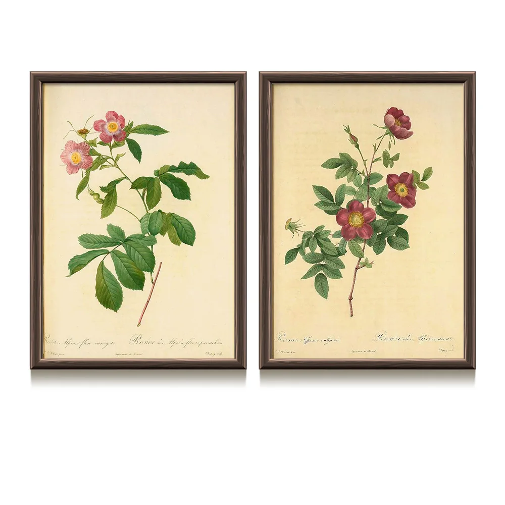 Watercolor Pink Flower Peony Plant Retro Nordic Posters And Prints Wall Art Canvas Painting Wall Pictures For Living Room Decor
Watercolor Pink Flower Peony Plant Retro Nordic Posters And Prints Wall Art Canvas Painting Wall Pictures For Living Room Decor