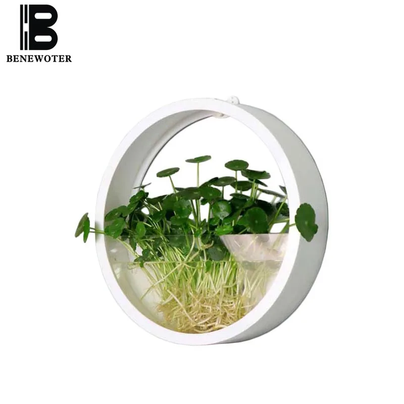 Creative Handmade Acrylic Wall Vase Living Room Decor Ornament Crafts Hydroponics Chlorophytum Flower Vases Plant Pots Holder
Creative Handmade Acrylic Wall Vase Living Room Decor Ornament Crafts Hydroponics Chlorophytum Flower Vases Plant Pots Holder