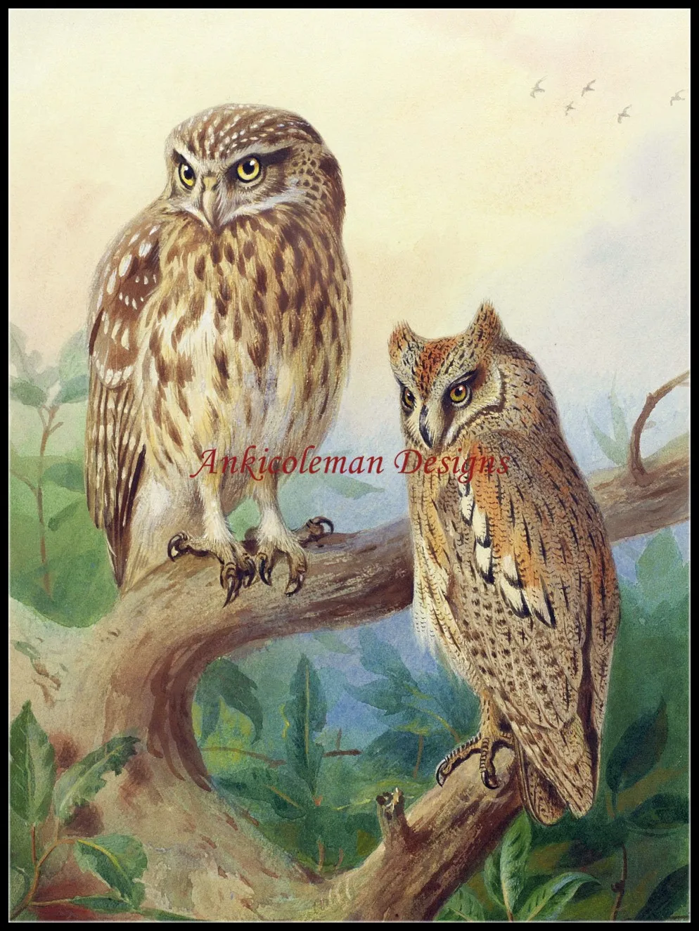 Needlework for Embroidery DIY French DMC High Quality - Counted Cross Stitch Kits 14 ct Oil painting - Scops Owls
Needlework for Embroidery DIY French DMC High Quality - Counted Cross Stitch Kits 14 ct Oil painting - Scops Owls
