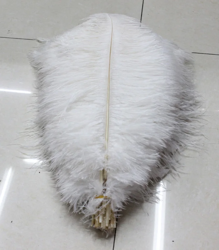Hot! Free shipping manufacturers selling 50 PCS white ostrich feathers 30-35inches/12-14cm
Hot! Free shipping manufacturers selling 50 PCS white ostrich feathers 30-35inches/12-14cm