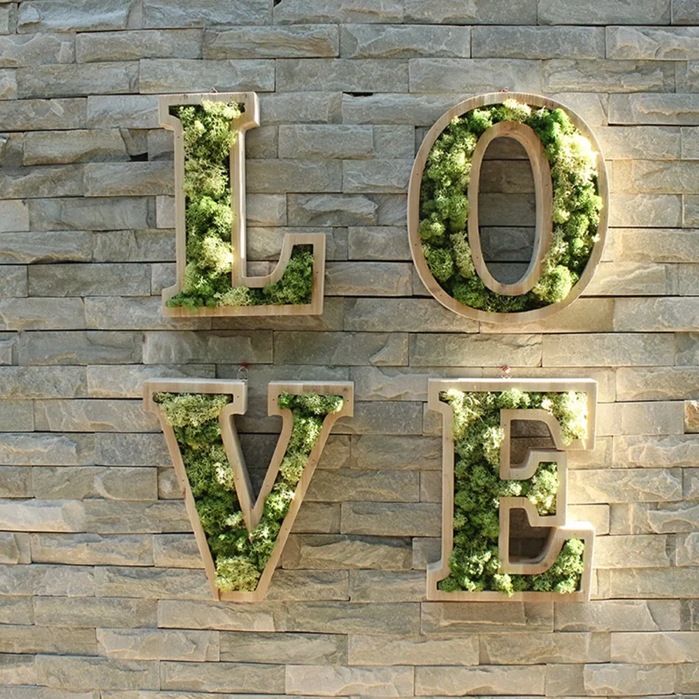 free shipping 1000g DIY Immortal Preserved Natural Real Moss Plante Wall Multi-colors Flower for Venue Home Wedding Decor
free shipping 1000g DIY Immortal Preserved Natural Real Moss Plante Wall Multi-colors Flower for Venue Home Wedding Decor