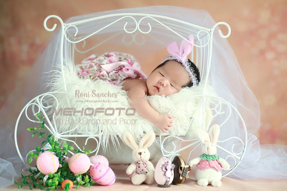 Thin Vinyl Photography Backdrops Newborn Backdrop Computer Printing Background for Photo Studio S-106
Thin Vinyl Photography Backdrops Newborn Backdrop Computer Printing Background for Photo Studio S-106