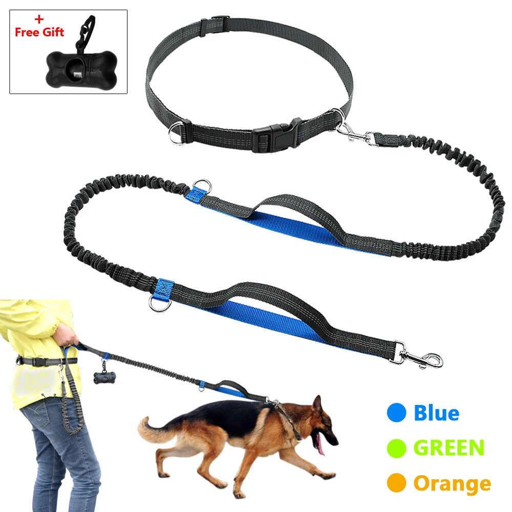 

Hands Free Dog Leash Retractable Bungee Leash Lead Reflective For Running Walking Up to 150 lbs Large Dogs Free Bag Dispenser