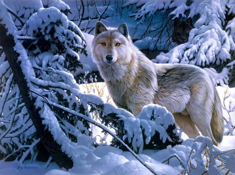 Modern Decor Art Wall For Living Room Snow Wolf Oil Painting HD Printed On Canvas For Home Decoration No Frame
Modern Decor Art Wall For Living Room Snow Wolf Oil Painting HD Printed On Canvas For Home Decoration No Frame