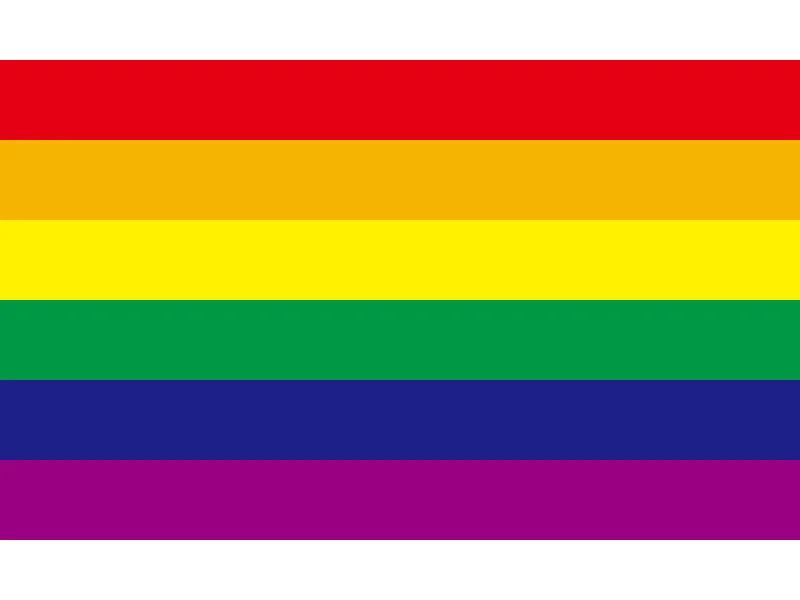 LGBT 150*90cm 3x5 Feet 60*90cm 15*21cm 40*60cm Colorful Rainbow Peace Flags Banner Pride Lesbian Gay Parade Flags Home Decor
LGBT 150*90cm 3x5 Feet 60*90cm 15*21cm 40*60cm Colorful Rainbow Peace Flags Banner Pride Lesbian Gay Parade Flags Home Decor