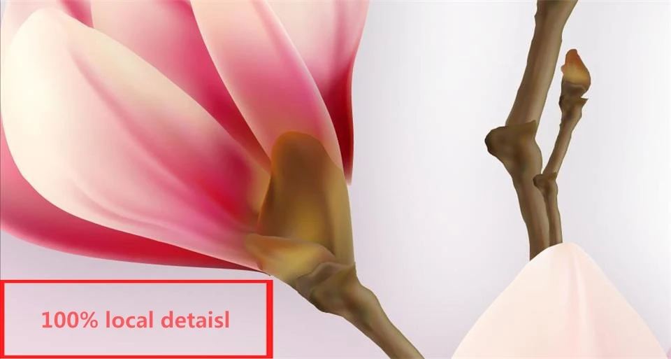Custom murals 3d photo wallpaper dreamy colored flowers picture living room background wall painting Restaurant Hotel Wallpaper
Custom murals 3d photo wallpaper dreamy colored flowers picture living room background wall painting Restaurant Hotel Wallpaper