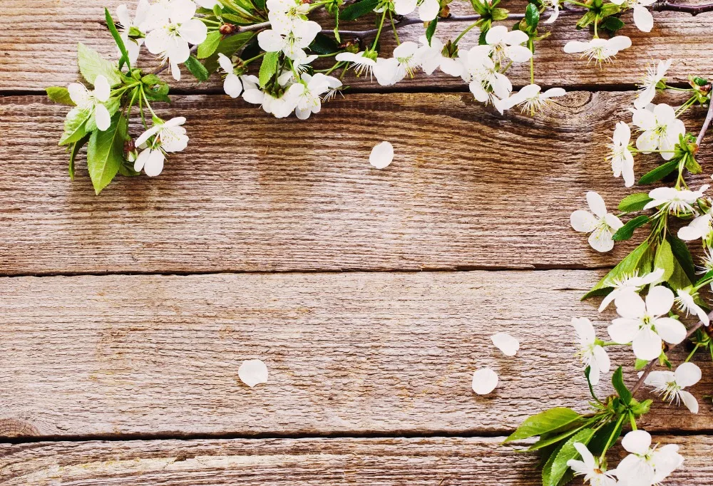 VinylBDS Wooden Wall Photography Backdrops White Flowers Backdrop for Wedding Photography Children Wood Backgrounds for Photo
VinylBDS Wooden Wall Photography Backdrops White Flowers Backdrop for Wedding Photography Children Wood Backgrounds for Photo