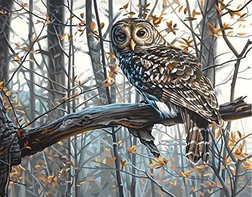 Home Craft Cross Stitch Needlework Owl Tree Full Drill 5D Resin DIY Diamond Painting Mosaic Embroidery Square/round Drill
Home Craft Cross Stitch Needlework Owl Tree Full Drill 5D Resin DIY Diamond Painting Mosaic Embroidery Square/round Drill