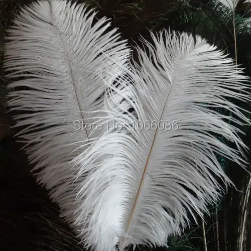Free Shipping! 50pcs/lot Top quality White ostrich feathers 40-45cm 16-18inches ostrich drab feather plumes 
Free Shipping! 50pcs/lot Top quality White ostrich feathers 40-45cm 16-18inches ostrich drab feather plumes