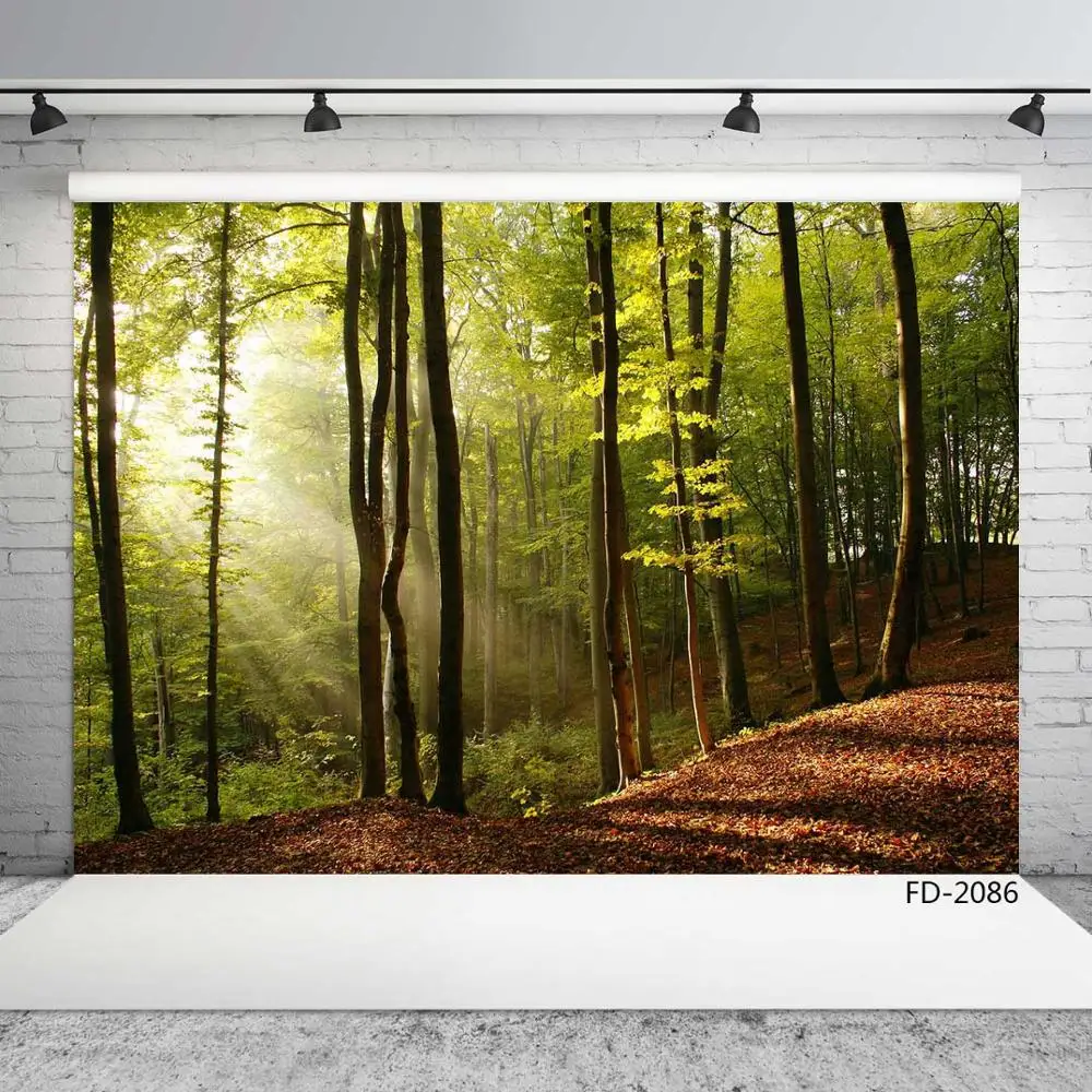 Лесного дерева солнечного света фон для фотосъемки на заказ тканевый фотосессия