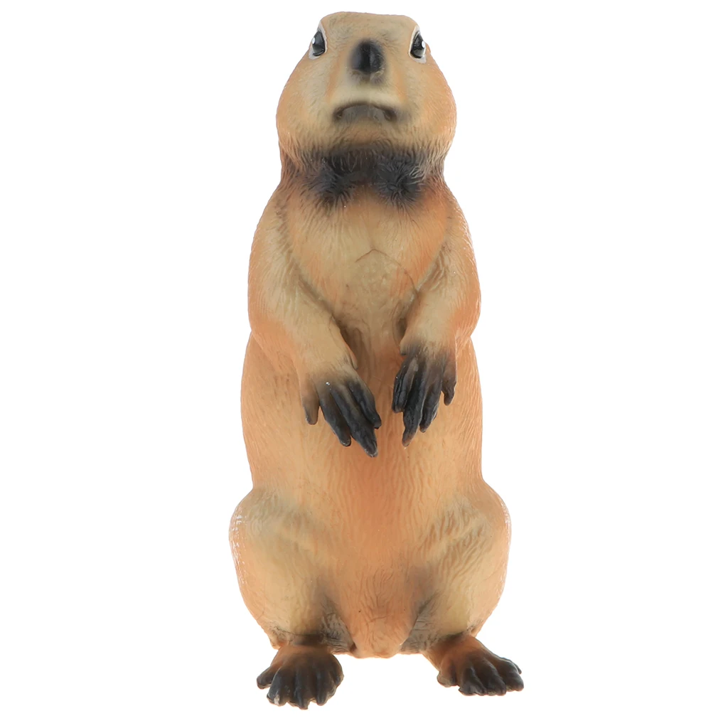 2pcs Simulation Wildlife Animal Model Figurine Kids Science & Nature Toy Collection Home Decoration Party Favors- Marmot
2pcs Simulation Wildlife Animal Model Figurine Kids Science & Nature Toy Collection Home Decoration Party Favors- Marmot