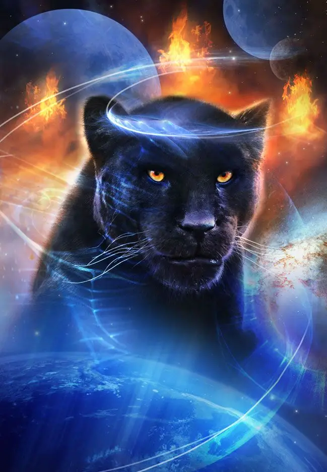 DIY panther diamond drawing diamond painting Black leopard cross stitch crystal full diamond embroidery Panthers plastic crafts
DIY panther diamond drawing diamond painting Black leopard cross stitch crystal full diamond embroidery Panthers plastic crafts