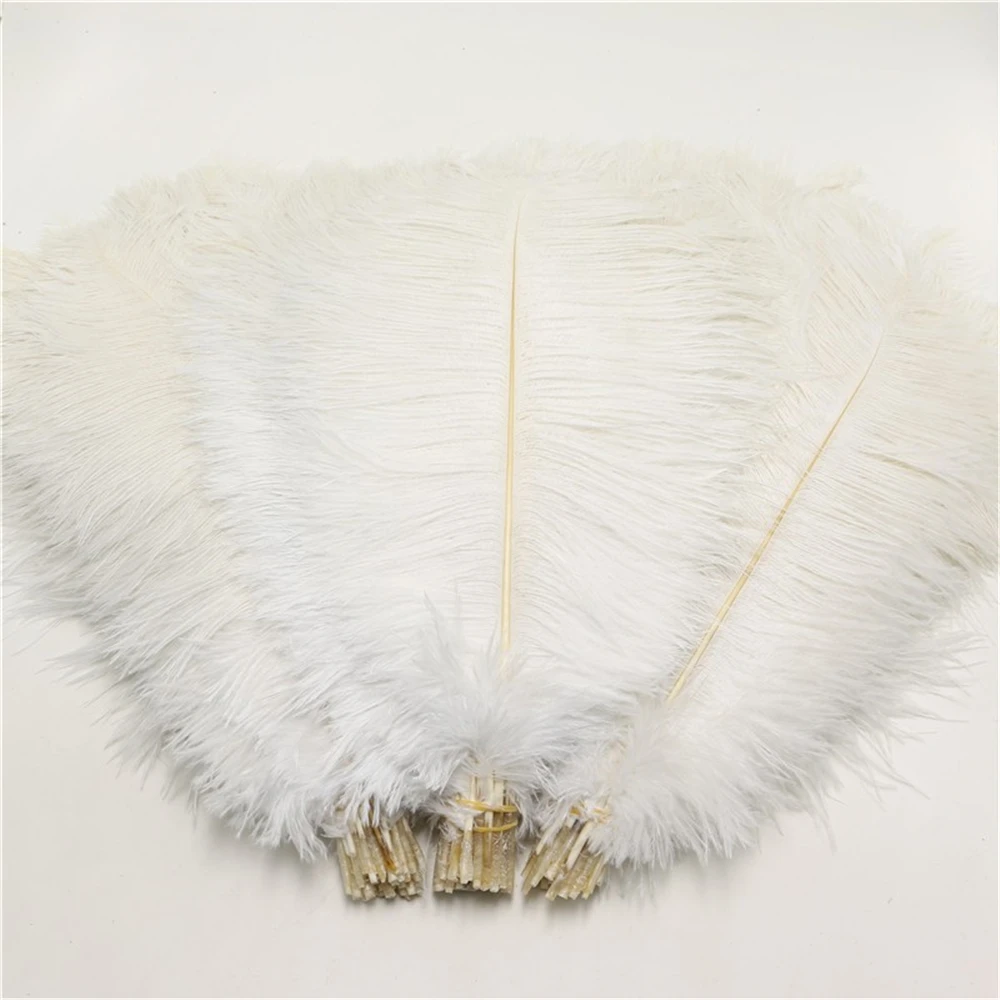 100pcs/lot 10-12 inches fluffy soft ostrich feathers pure white feather for craft plumes wedding party decoration
100pcs/lot 10-12 inches fluffy soft ostrich feathers pure white feather for craft plumes wedding party decoration