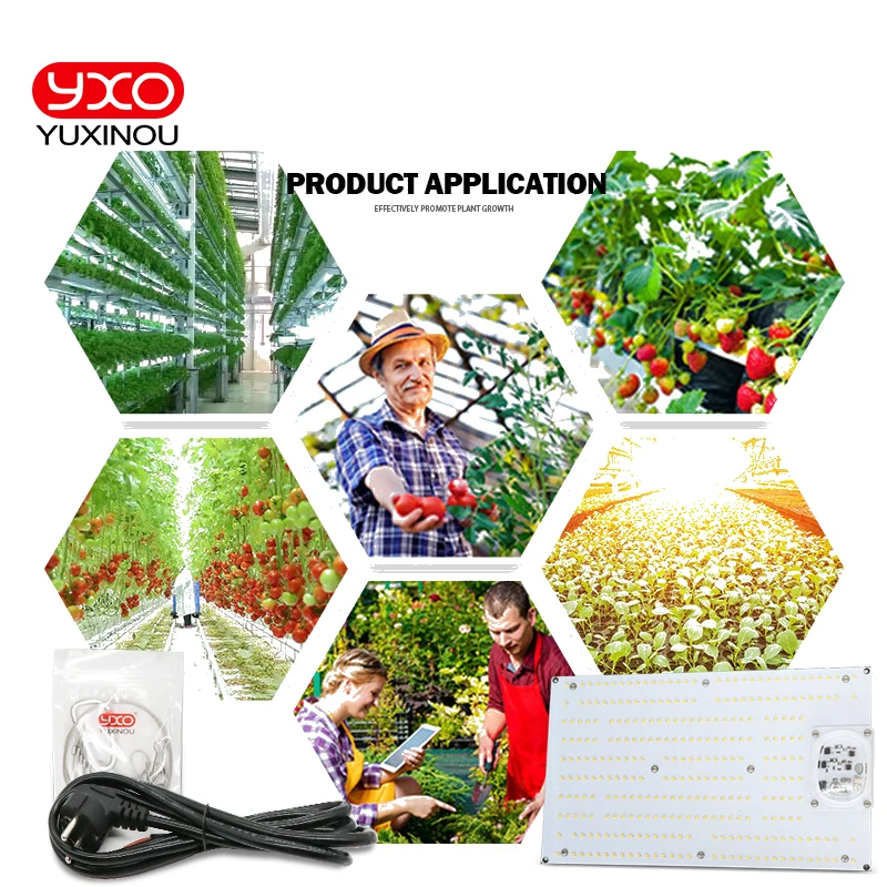 2019 120W 240W LED Grow Light Full Spectrum Indoor Plants Veg Flower Hydroponics Growing
2019 120W 240W LED Grow Light Full Spectrum Indoor Plants Veg Flower Hydroponics Growing