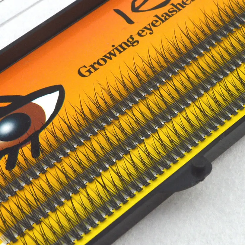 1 Pack 120 Knots 6 Hairs Black Individual False Eyelashes Eye Lash Makeup Extension Kit 8mm 10mm 12mm
1 Pack 120 Knots 6 Hairs Black Individual False Eyelashes Eye Lash Makeup Extension Kit 8mm 10mm 12mm