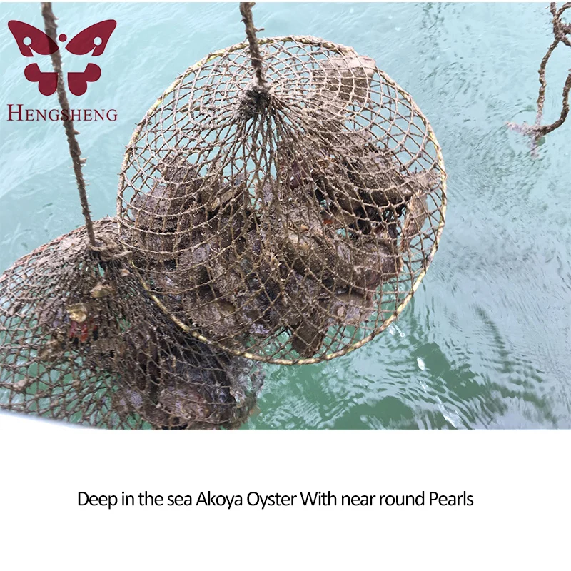 Surprise Gift DIY Wholesale Vacuum-packed 6.5-8mm Bright Purple Saltwater Round Akoya Pearl Oyster 20pcs
Surprise Gift DIY Wholesale Vacuum-packed 6.5-8mm Bright Purple Saltwater Round Akoya Pearl Oyster 20pcs