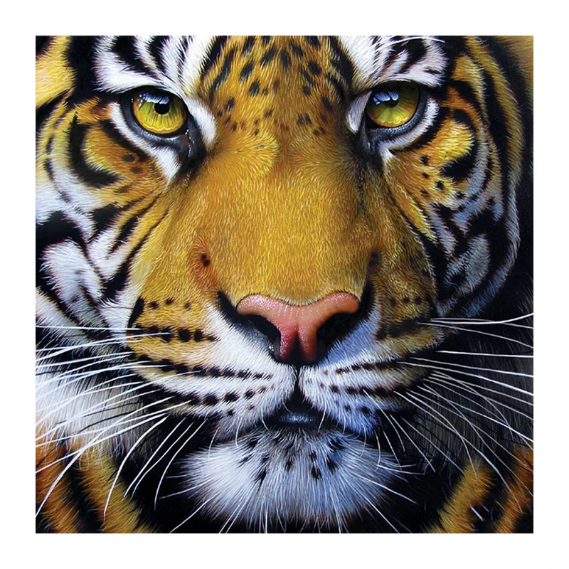 Full square diamond 5D DIY diamond embroidery Golden Tiger Face diamond painting Cross Stitch Rhinestone mosaic decoration CX
Full square diamond 5D DIY diamond embroidery Golden Tiger Face diamond painting Cross Stitch Rhinestone mosaic decoration CX