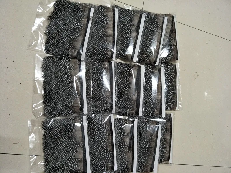 wholesale natural 10yards beatiful scare natural guinea fowl feathers Ribbon decorative 2-3inch/5-7cm Width Clothing accessories
wholesale natural 10yards beatiful scare natural guinea fowl feathers Ribbon decorative 2-3inch/5-7cm Width Clothing accessories