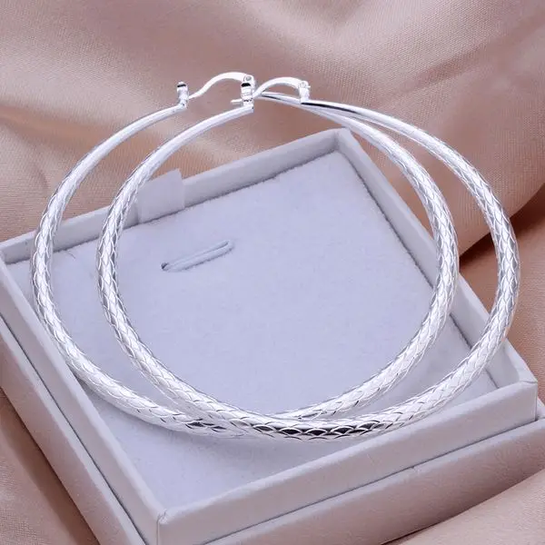 Wholesale High Quality Jewelry Silver plated Fashion Scales Earrings for Women best gift SMTE289
Wholesale High Quality Jewelry Silver plated Fashion Scales Earrings for Women best gift SMTE289