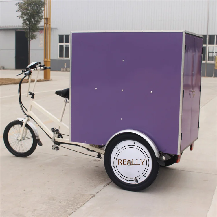 Electric Food Delivery Tricycle Courier Trike Aluminum Frame 3 Wheels Cargo Bike
Electric Food Delivery Tricycle Courier Trike Aluminum Frame 3 Wheels Cargo Bike